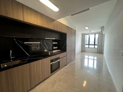 Irwell Hill Residences (D9), Apartment #458494771